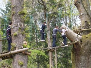 Klauteren in het klimbos