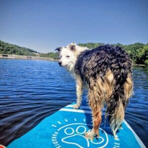 Suppen bij de camping